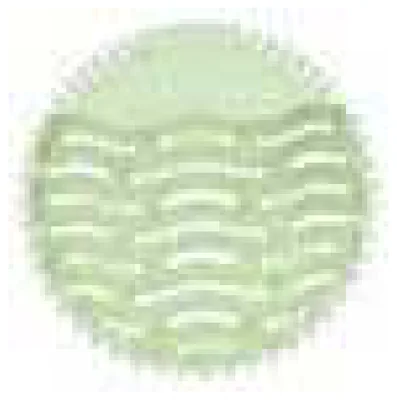 Pisuvar Süzgeçi - Wave 2.5